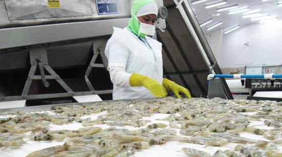 Foto referencial de exportación de camarón, tomada de la web de la Cámara Nacional de Acuacultura (CNA) el 5 de abril de 2024.