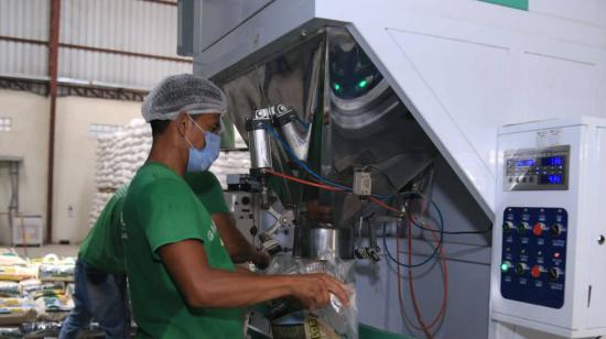 Un trabajador en una empresa arrocera, en abril de 2024.