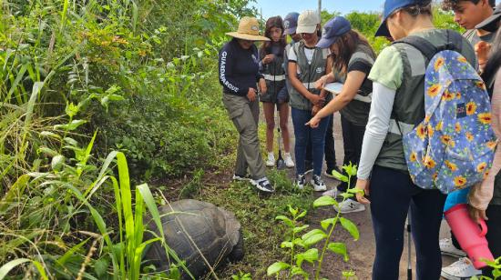 Imagen referencial sobre capacitación de jóvenes sobre cuidado de Galápagos en abril de 2024.