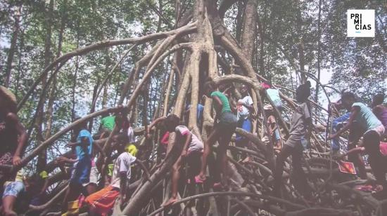 Niños de manglares, exposición fotográfica