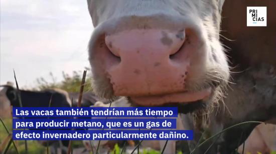 Agricultura orgánica primtv