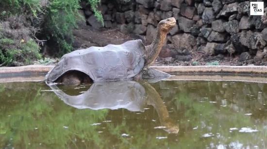 Diego en la isla Santa Cruz, Galápagos.