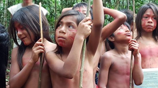 Varios niños de la nacionalidad Sápara sostienen tallos de árboles a modo de lanzas durante una ceremonia, el 19 de junio de 2020, en Llamchamacocha (Ecuador).