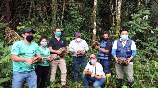 Personal técnico del Ministerio del Ambiente de Ecuador cargando tortugas / Parque Nacional Yasuní. 10/12/2020