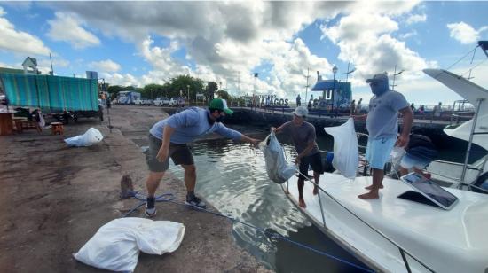 Varios hombres descargan bolsas con basura recogida del mar, durante una jornada de limpieza ecológica en Islas Galápagos (Ecuador).