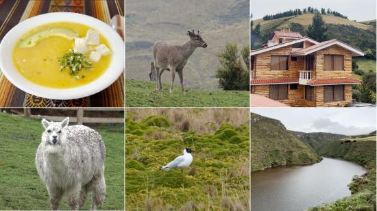 Turismo en Quito