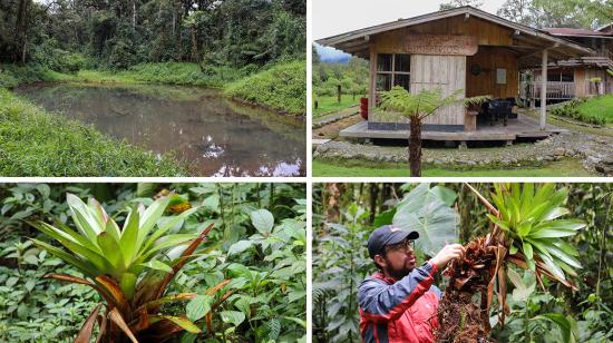 Reserva Ecológica Hemisferios, el 1 de marzo de 2023 en la provincia amazónica de Napo (Ecuador), a tres horas de Quito.