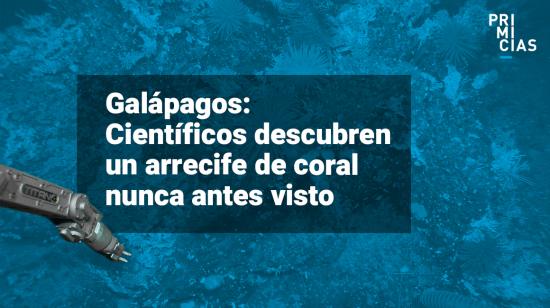 Arrecife de coral prístino en Galápagos