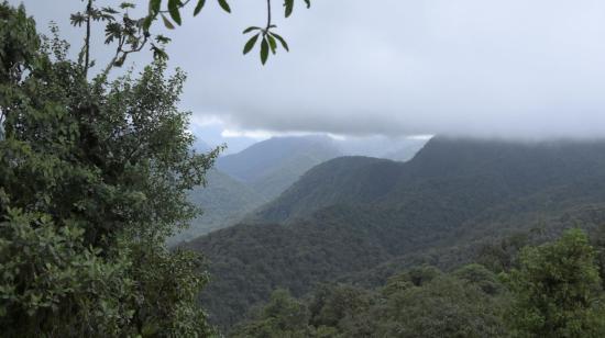 Imagen panorámica de una parte del Chocó Andino, ubicado en el noroccidente de Quito.