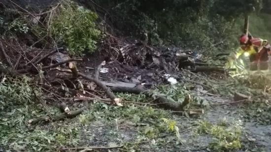 Personal de Bomberos de Quito trabaja en la avenida Pérez Bustamante y Simón Bolívar, donde cayó un árbol el 28 de mayo de 2024.