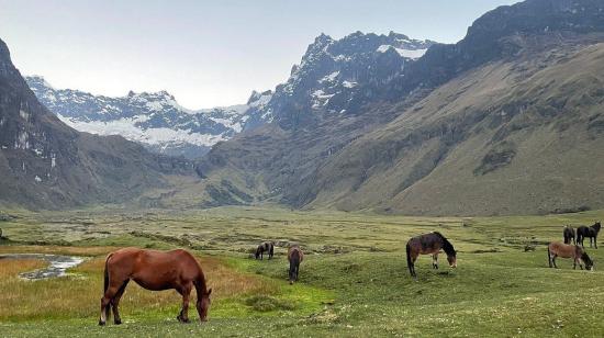 El volcán El Altar en una panorámica del gobierno local de Quimiag.