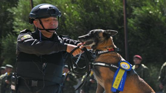 Las Fuerzas Armadas de Ecuador condecoraron a cinco perros por su labor en la detección de drogas, armas y epxlosivos.