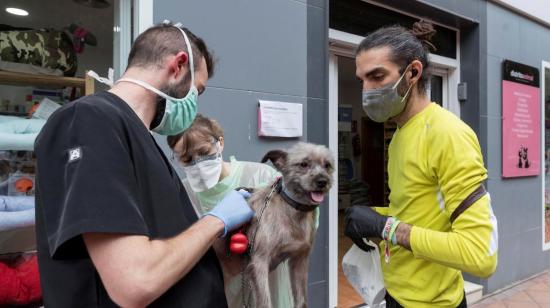 Veterinaria atendiendo a un perro, 22 de abril de 2020.