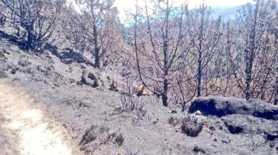 Bomberos de ocho cantones sofocan incendio forestal en Chilla, El Oro