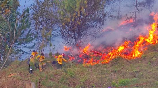 Bomberos trabajan para apagar un incendio forestal en el cantón Quilanga, en Loja, este 23 de julio de 2024.