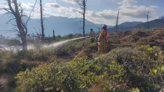 Un bombero hecha agua a una parte de bosque en Quilanga, en Loja, para controlar lo que queda de un incendio forestal, el 24 de julio de 2024.