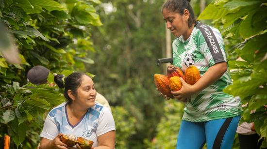 Recolectoras de cacao en la Amazonía de Ecuador.
