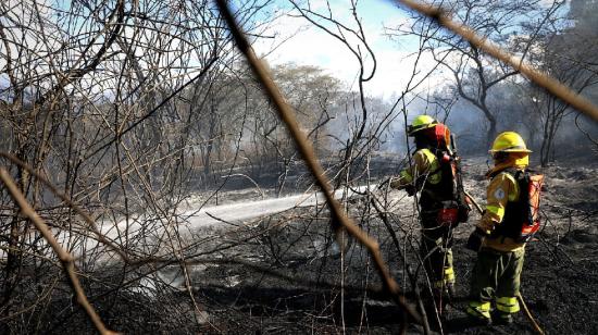 Bomberos controlan dos incendios forestales en Quito; otro está activo en Cuenca