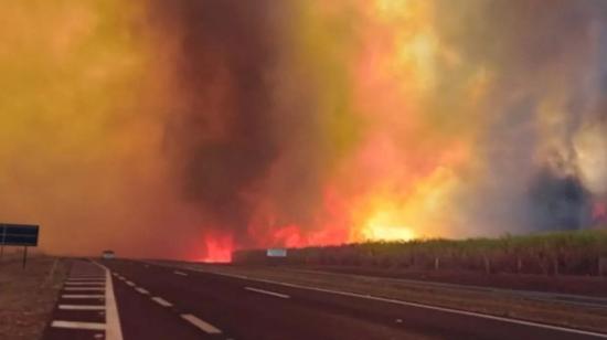 Incendio en un área rural de Sao Paulo, el 23 de agosto de 2024.