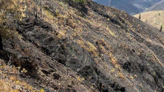 Parte de la montaña ubicada en el cantón Quilanga, en la provincia de Loja, afectada por un incendio forestal que fue controlado este lunes 26 de agosto de 2024.