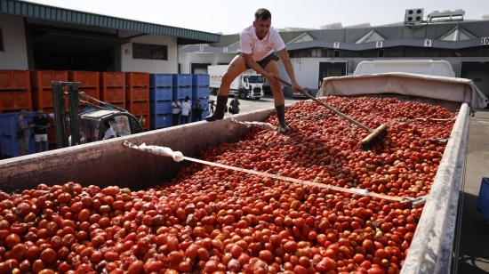 Más de 120 toneladas de tomates cultivados en el sur de valencia recorrieron las balles de Buñol para la famosa tomatina, en agosto de 2024.