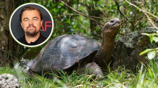 El actor Leonardo DiCaprio ha mostrado gran interés en la conservación del Archipiélago de Galápagos.