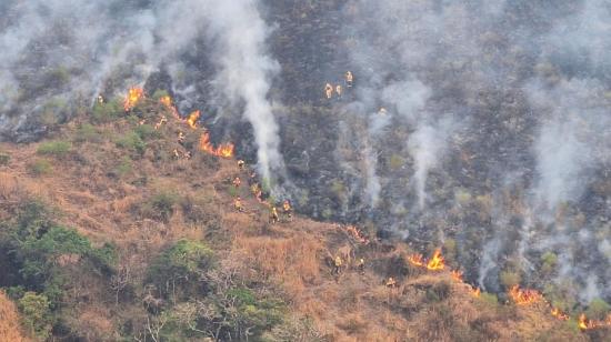 Bomberos trabajan en el combate de un incendio forestal en el cantón Quilanga, en el sur de Loja, el 2 de septiembre de 2024.