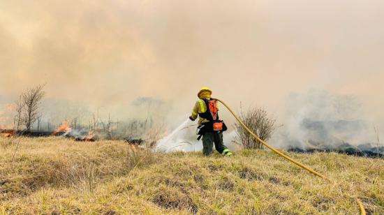 ¿Qué provocan los incendios forestales? Esto explica la ciencia