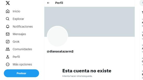 Así aparece la cuenta de la Fiscal Diana Salazar en la red social X.