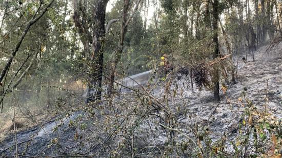 Al menos cinco hectáreas fueron afectadas por incendio forestal en El Panecillo