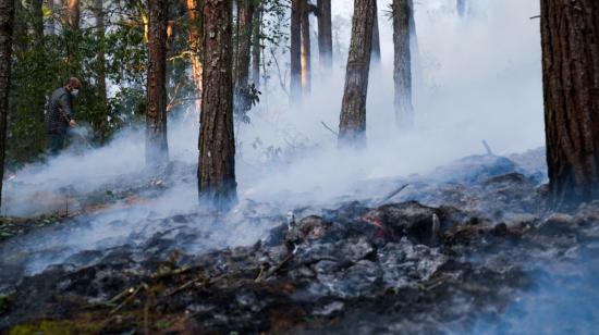 Incendio forestal en Los Álamos, en Cuenca, que afectó gran cantidad de flora y fauna.