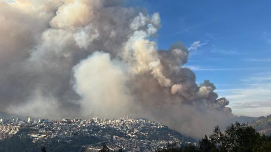 "Quise salvar algo y no encontramos nada", los primeros testimonios del incendio forestal en Quito