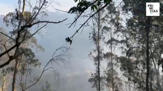 Tertimonios de los afectados por el incendio en Guápulo