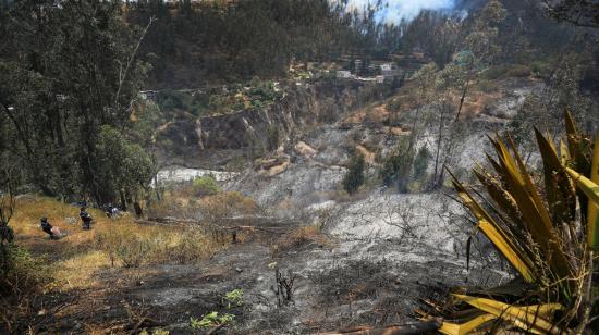 "Hay animales que no alcanzan a escapar", dice director del Zoo de Quito sobre el incendio forestal de Guápulo