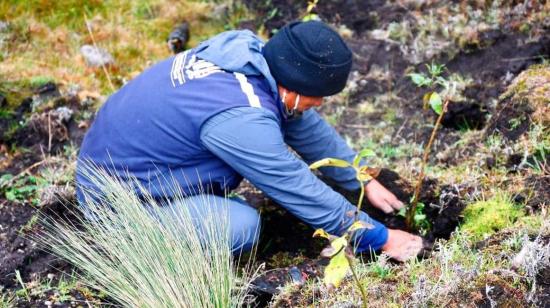 Construir embalses y cuidar los páramos permite que Tungurahua tenga reservas para tiempos de estiaje.