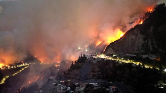 ¿Son realmente los eucaliptos el 'combustible' de los incendios forestales en Quito?