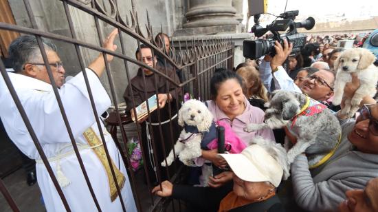 Mascotas reciben la bendición en la Iglesia San Francisco de Quito, el 4 de octubre de 2024.