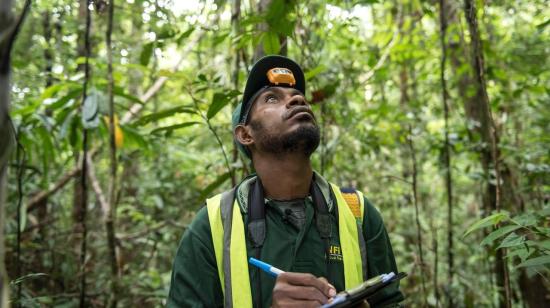 Fotografía referencial de un miembro de la Iniciativa Nacional de Bosques de Papúa Nueva Guinea que revisa un bosque para ser incluido en mercados de carbono, en mayo de 2023.