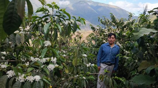 José Miguel Villa con su finca Las Palmeras, en Pallatanga, se convirtió en el ganador de la Taza Dorada en Nueva York.