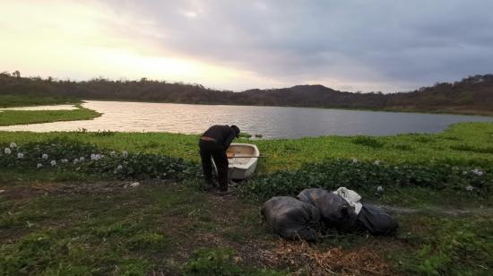 Un pescador alista una balsa entre lechuguines al este de la represa de Chongón, cerca del recinto Ciudad de Dios, donde se rescataron cuatro cadáveres el octubre de 2024.