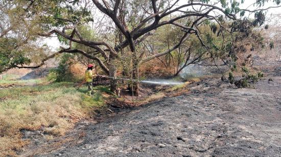 Bombero lanza agua a una zona de vegetación afectada por un incendio forestal en Guayaquil.