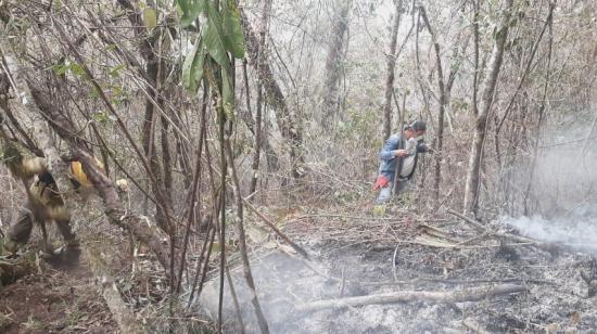 Loja: Otro incendio forestal arde en Vilcabamba desde hace cuatro días