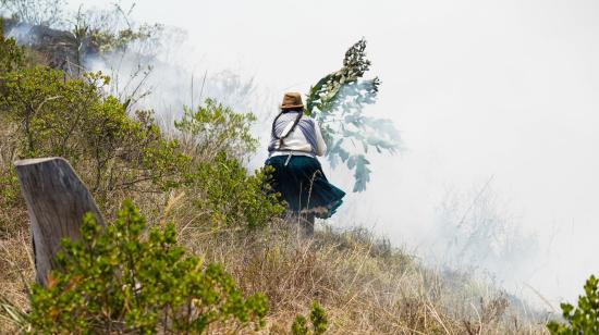 371 alertas de incendios forestales se registran en menos de una semana en Ecuador