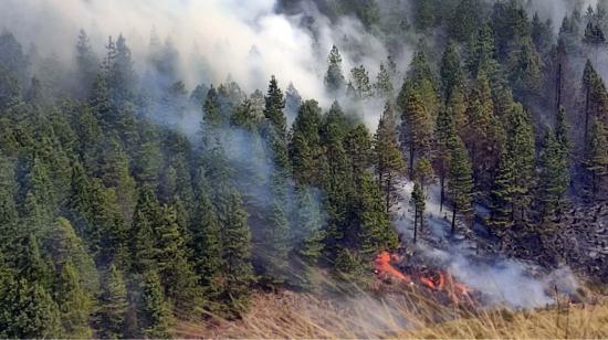 incendio forestal en parque nacional cajas