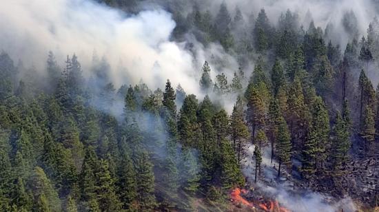 Vista de un incendio forestal en el Parque Nacional Cajas, en la provincia del Azuay, el 16 de noviembre de 2024.