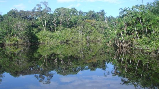 Parque Nacional Yasuní, el 4  de marzo de 2024.