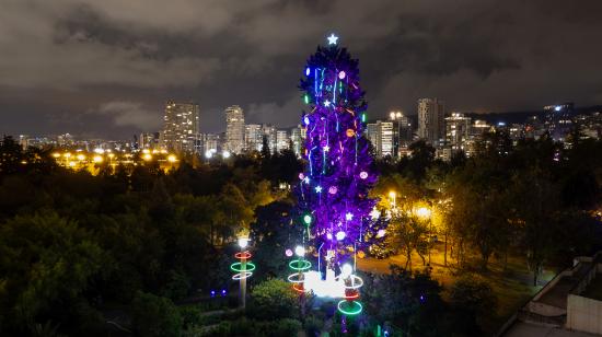 Árbol de Navidad vivo ubicado en el Jardín Botánico de Quito.