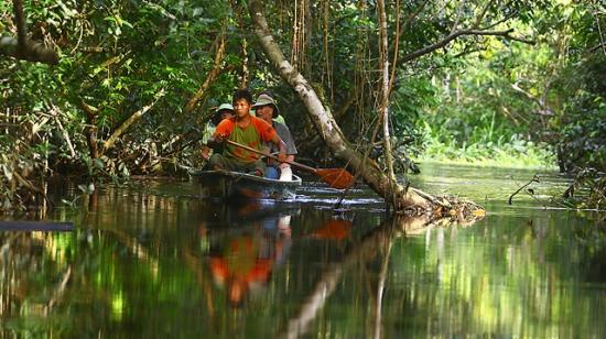 Imagen referencial del Parque Nacional Yasuní, en la Amazonía de Ecuador.