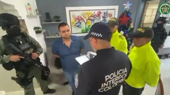 detenido gallina