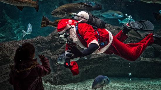 Un hombre vestido de Papa Noel buceo dentro de un acuario durante la temporada navideña.